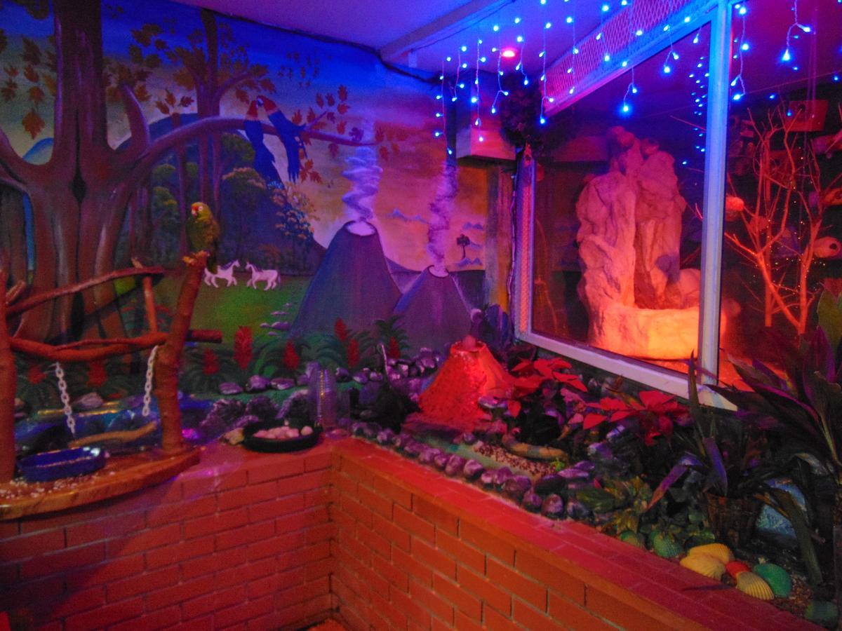 Casa Lima B&B San José Zewnętrze zdjęcie